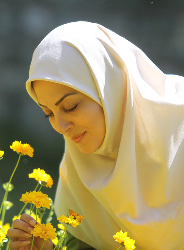 همه یکی هستند …